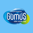 Иконка программы: Gümüş Su
