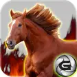 Horse Rush 3D