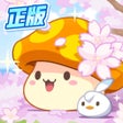 程序图标：冒险岛枫之传说