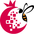 Programikonen: Datanario
