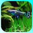 Иконка программы: AquaPlants