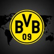 BVB BlackYellow