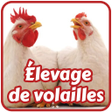 程序图标：Élevage de volailles