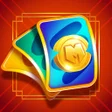 Tiger Matching Card icon