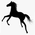 Icon of program: 馬ジェクト_JRA競馬予想