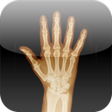 Ícone do programa: Trial Anatomy Sprite Anim…