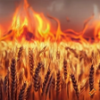 Icon of program: Burn Them All