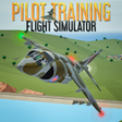 Pilot Training Flight Simulator