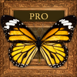 Icon of program: Frame Photo Collage