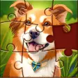 Jigsaw Puzzle Solving Game