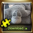 程序图标：Pompeii jigsaw puzzle gam…