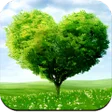 Programın simgesi: Nature Wallpaper HD Offli…