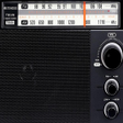 プログラムのアイコン：Live AM FM Radio garden 2…