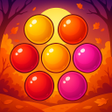 ไอคอนของโปรแกรม: Ball Blast Autumn Parrot