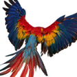 Ikona programu: Parrot OS : Vulnerability…