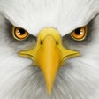 Icon of program: Ultimate Bird Simulator
