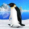 ไอคอนของโปรแกรม: Penguin Aquarium
