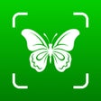 ไอคอนของโปรแกรม: Bug Identifier: Insect Fi…