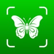 Bug Identifier: Insect Finder