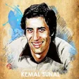 プログラムのアイコン：Kemal Sunal Replikleri