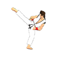 程序图标：Final Karate free