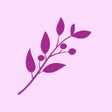程序图标：Hackberry: WFPB No Oil Re…