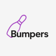 ไอคอนของโปรแกรม: Bumpers Flow Builder