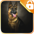 Icon of program: German Shepherd Dog Lock …