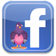 Symbol des Programms: Facebook Chat for Pidgin