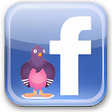 Icoon van programma: Facebook Chat for Pidgin