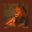Symbol des Programms: Big Cat Diary Bildschirms…