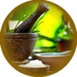 Icon of program: Ashtanga Hrudayam