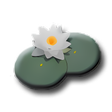 Symbol des Programms: LilyPond