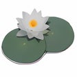 Icono de programa: LilyPond