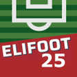 プログラムのアイコン：Elifoot 22