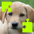 プログラムのアイコン：Puppy Puzzles  Dog Jigsaw