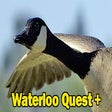 Waterloo Quest+