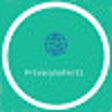 程序图标：PrivacySaferIII
