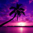 プログラムのアイコン：HD Wallpapers - Offline