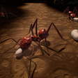 Иконка программы: MY ANT COLONY