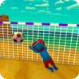 ไอคอนของโปรแกรม: Crazy Fun Football 3D