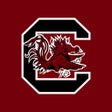 프로그램 아이콘: South Carolina Gamecocks
