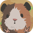 Programın simgesi: Guinea Pig Farm