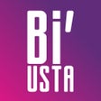 程序图标：BiUsta