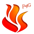 程序图标：NSWFires