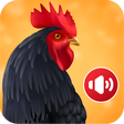 Ikon program: Animal Ringtones: Animal …