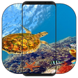 Icon of program: Tortoise Wallpaper
