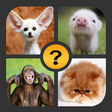 プログラムのアイコン：4 Pics 1 Word - Games 201…