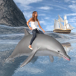プログラムのアイコン：Dolphin Transport Beach g…