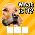 Icon of program: Zoom Quiz: Close Up Pics …